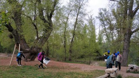 plogging _ceg_
