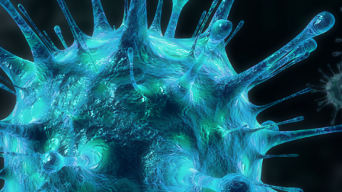 Coronavirus